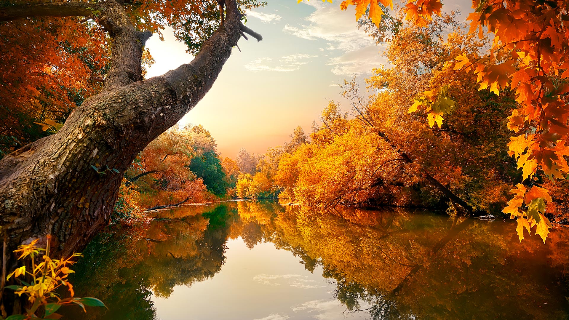 livre automne