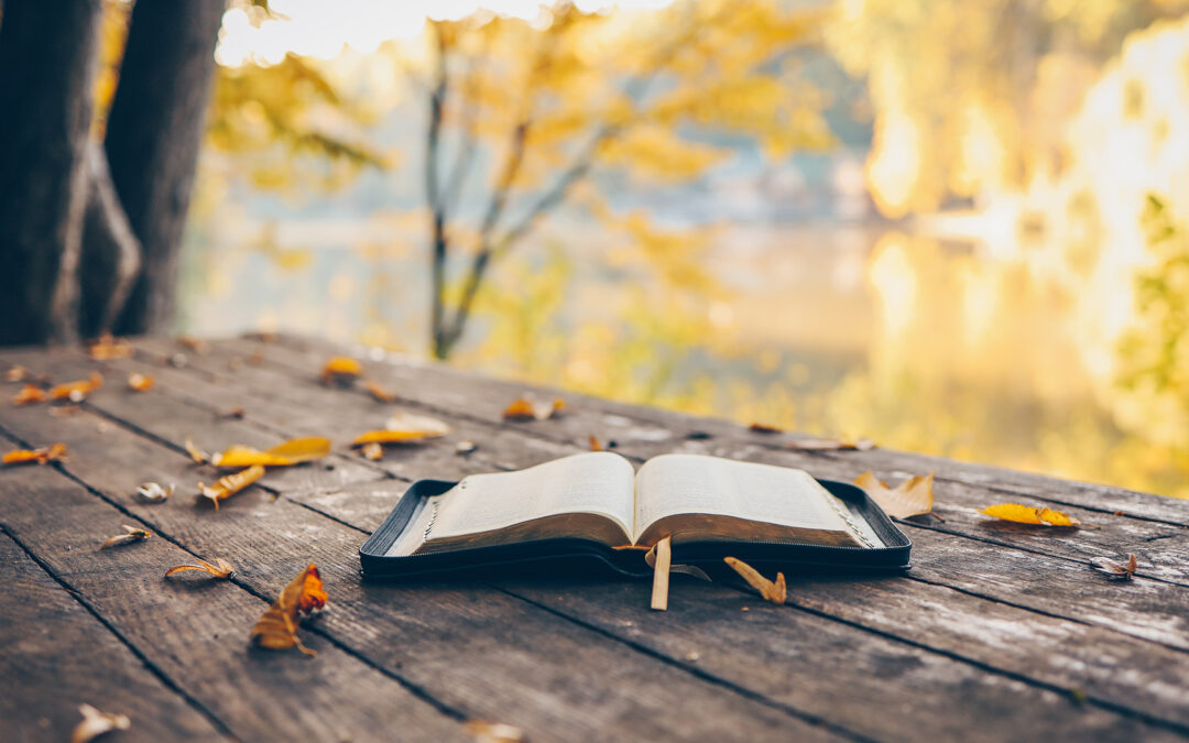 Créer un Livre mémorable à la Toussaint avec Imprime ton Livre