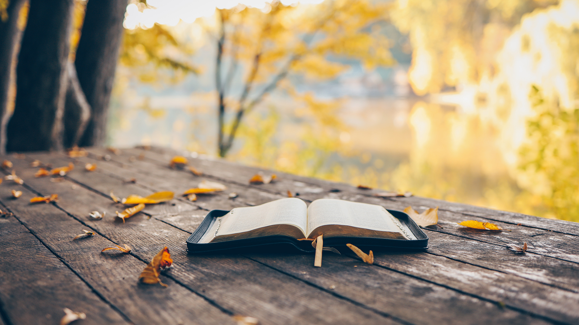 livre nature